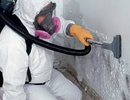 Best Real Estate Mold Inspection  in North Fond Du Lac, WI